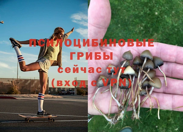 дживик Баксан