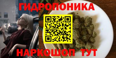 гашик Балахна