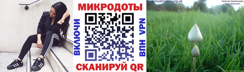 Галлюциногенные грибы ЛСД  как найти наркотики  Балашов 