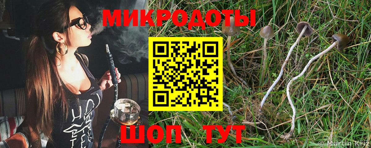 сколько стоит  Галлюциногенные грибы мицелий  Псилоцибиновые грибы ЛСД  Вход с VPN  Балашов 