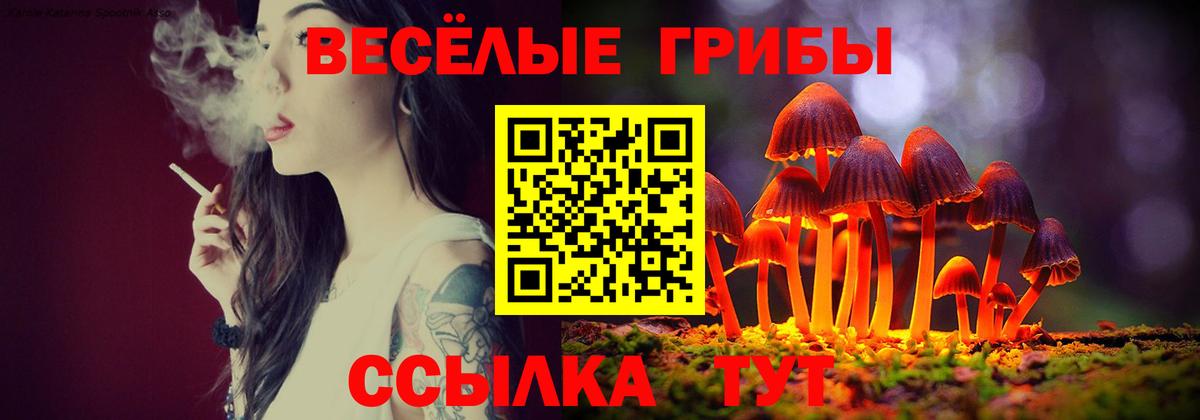 Псилоцибиновые грибы Cubensis  Галлюциногенные грибы GOLDEN TEACHER  купить  сайты  Балашов 