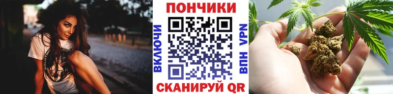 Каннабис гибрид  Балашов 
